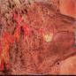 Preview: Buffalo • Volcanic Rock