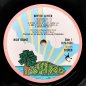 Preview: Nick Drake • Bryter Later