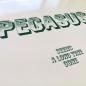 Preview: Pegasus • Seems A Long Time