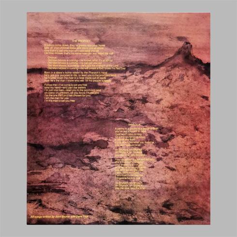 Buffalo • Volcanic Rock