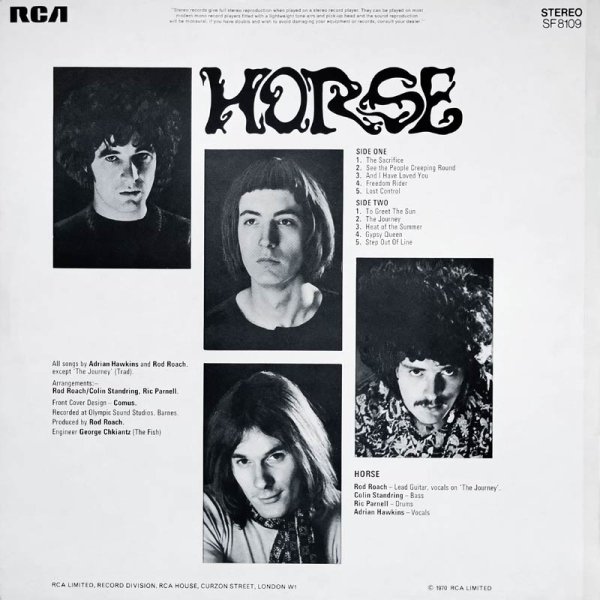 Horse • Horse