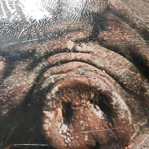 Preview: Kin Ping Meh • No. 2