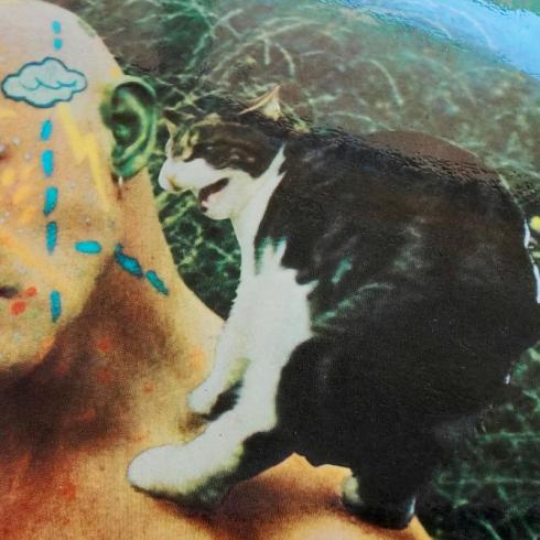 Preview: Panta Rei • Panta Rei