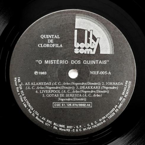 Quintal De Clorofila • O Mistério Dos Quintais