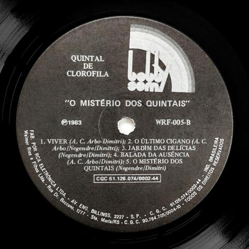 Quintal De Clorofila • O Mistério Dos Quintais