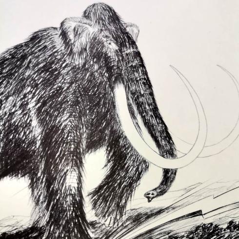 Preview: Rockband Mammut • Screaming Voices