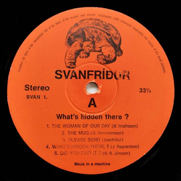 Svanfridur • What's Hidden There