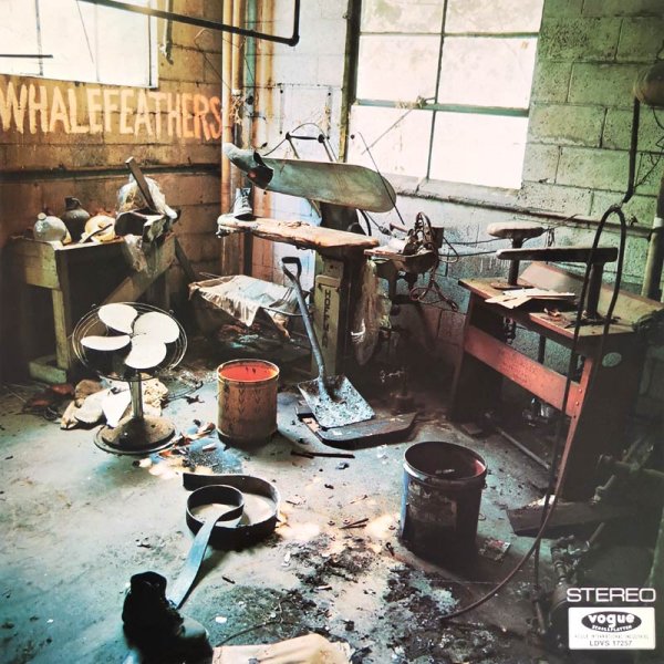 Whalefeathers • Whalefeathers