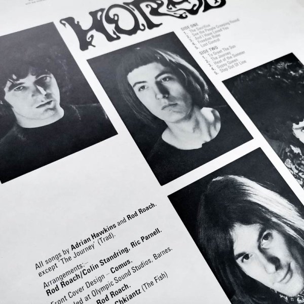 Horse • Horse