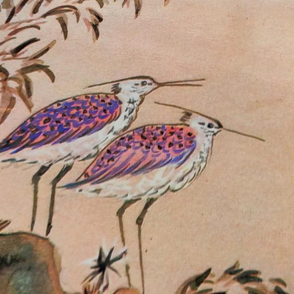 Nirvana • Songs Of Love And Praise