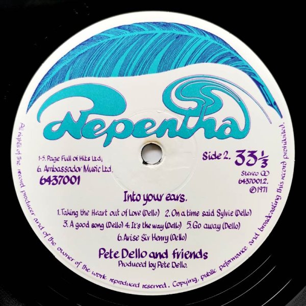 Pete Dello And Friends • Into Your Ears