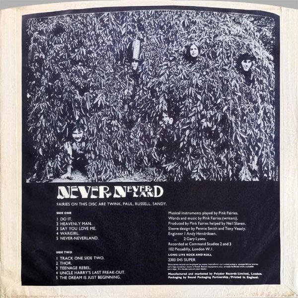 Pink Fairies • Never Never Land